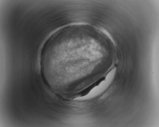 X0000089881124200707191951