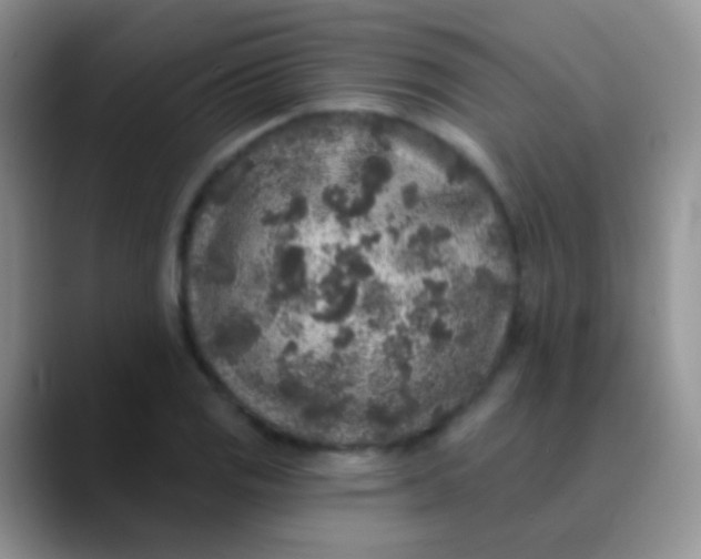 X0000089881125200707191951