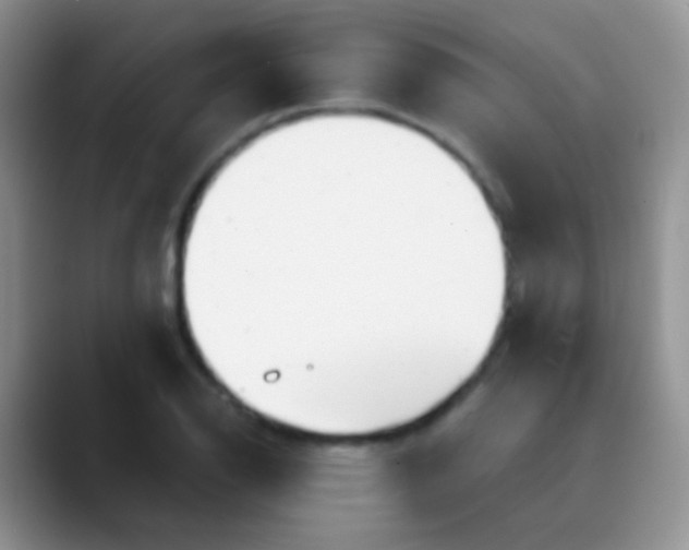 X0000089881126200707191951