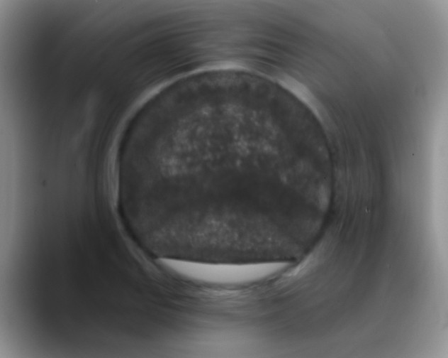 X0000089881127200707191951