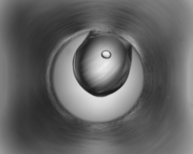 X0000089881128200707191951