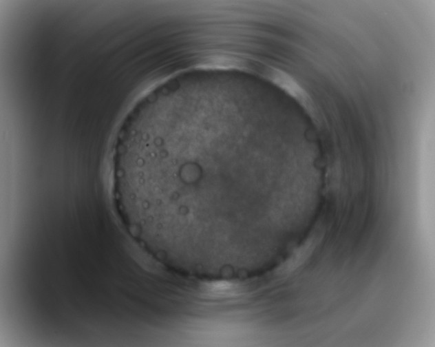 X0000089881130200707191951