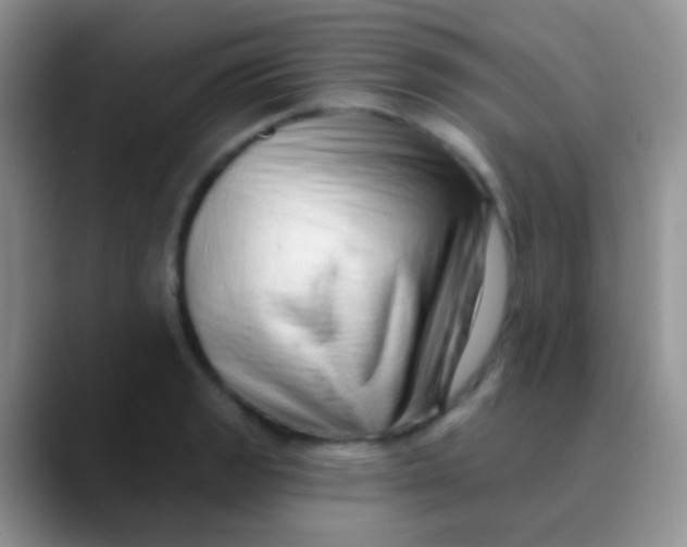 X0000089881133200707191951