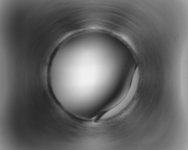 X0000089881134200707191951