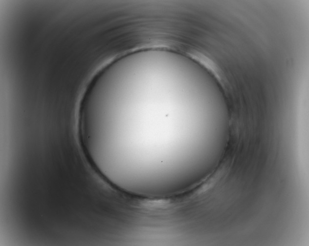 X0000089881135200707191951