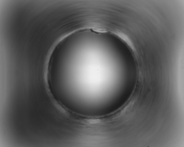 X0000089881136200707191951