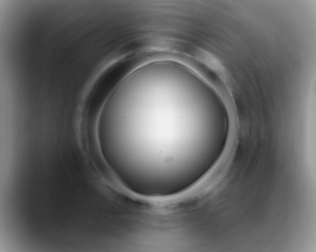 X0000089881138200707191951