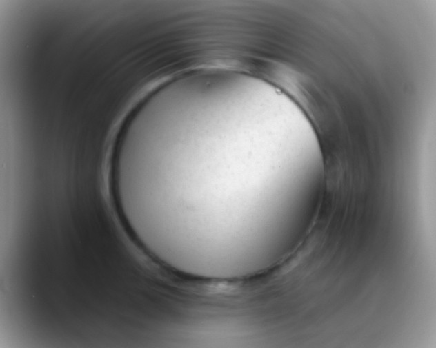 X0000089881139200707191951