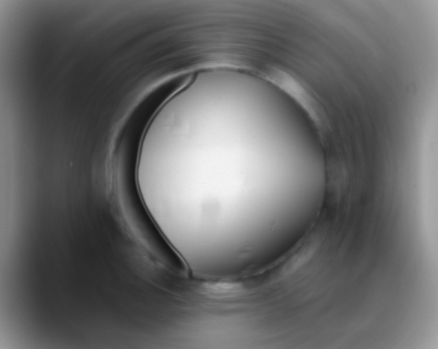 X0000089881140200707191951