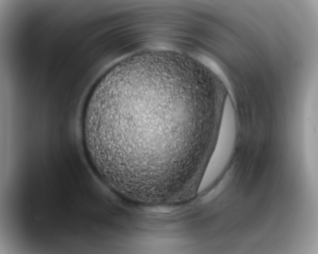 X0000089881141200707191951