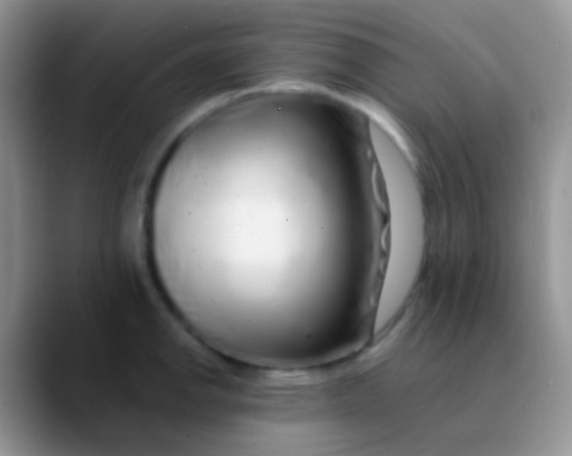 X0000089881142200707191951