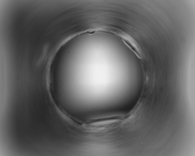 X0000089881143200707191952