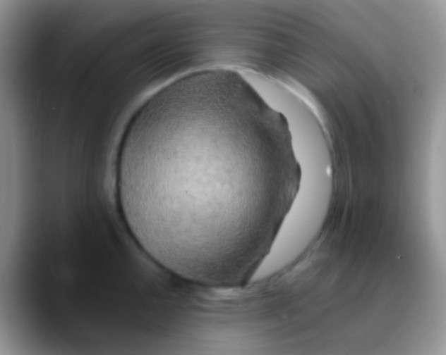 X0000089881144200707191952