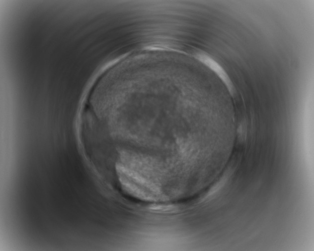 X0000089881146200707191952