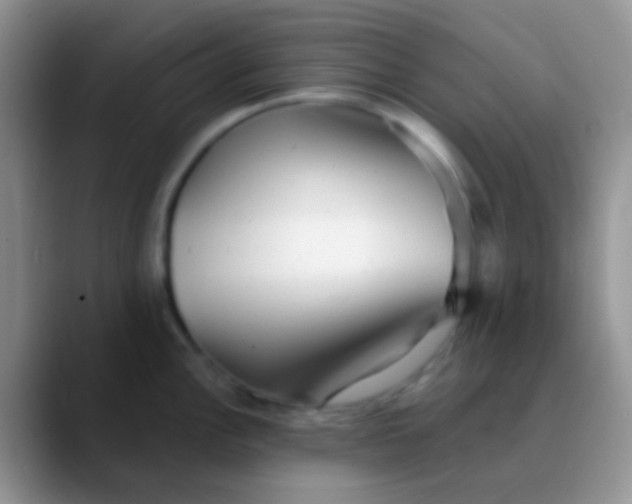 X0000089881148200707191952