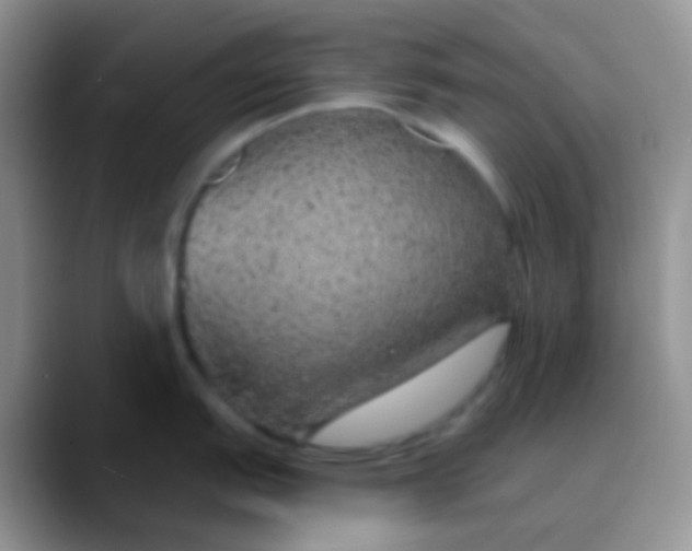 X0000089881151200707191952