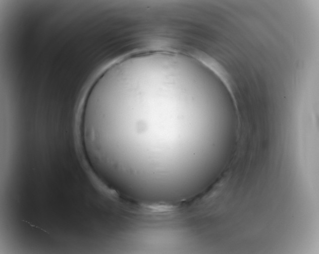 X0000089881152200707191952