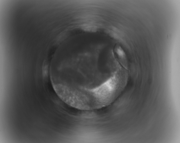 X0000089881154200707191951