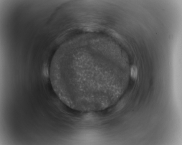 X0000089881155200707191951