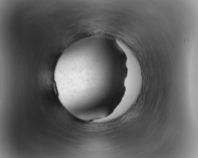 X0000089881156200707191951