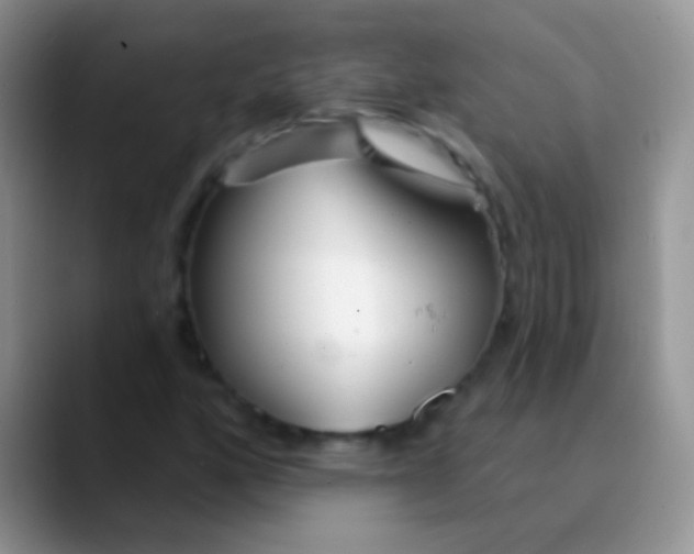 X0000089881160200707191951