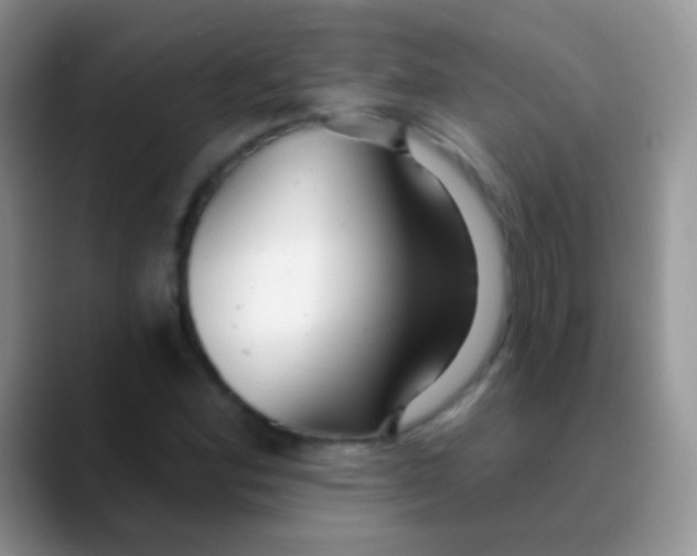 X0000089881164200707191951