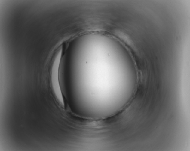 X0000089881165200707191951