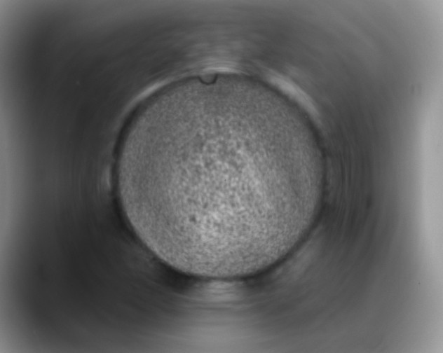 X0000089881166200707191951