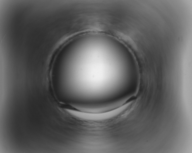 X0000089881168200707191951