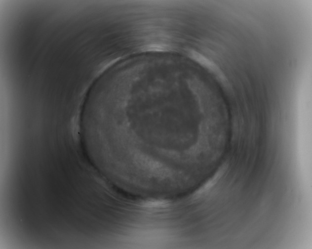 X0000089881170200707191951