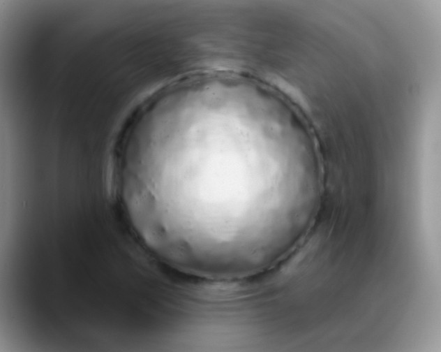 X0000089881171200707191951