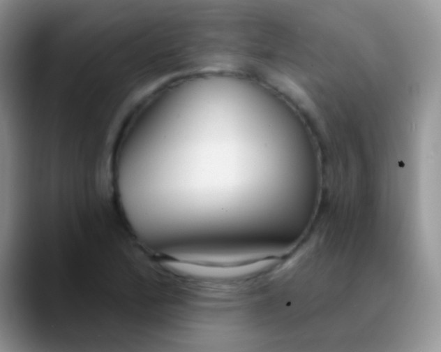 X0000089881172200707191951