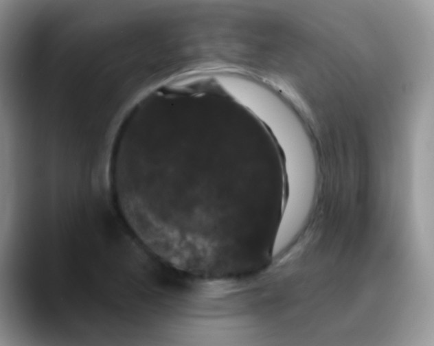 X0000089881173200707191951