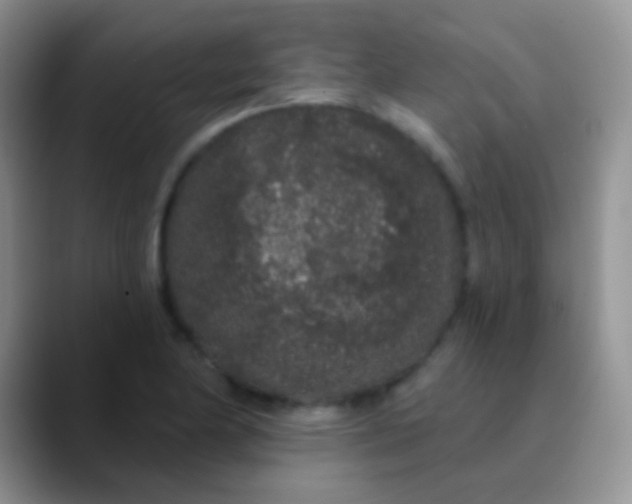 X0000089881174200707191951