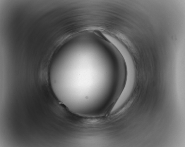 X0000089881177200707191951