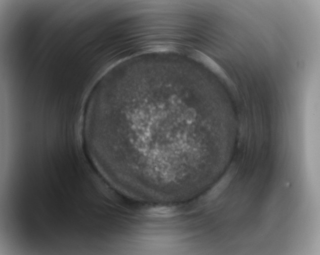 X0000089881178200707191951