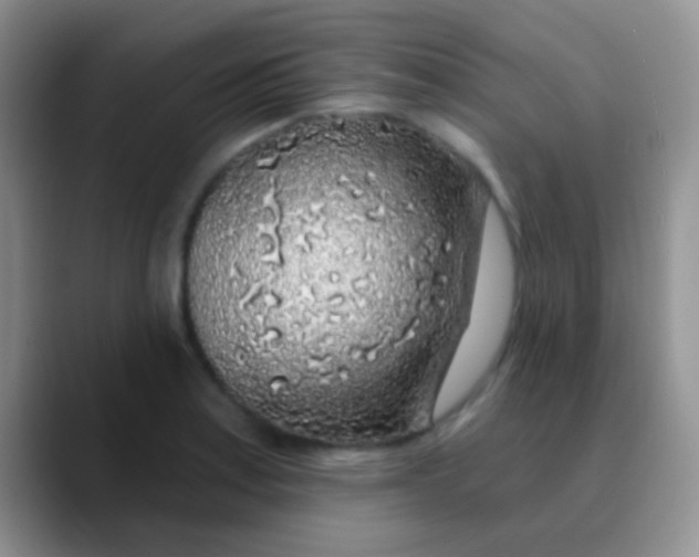 X0000089881179200707191951