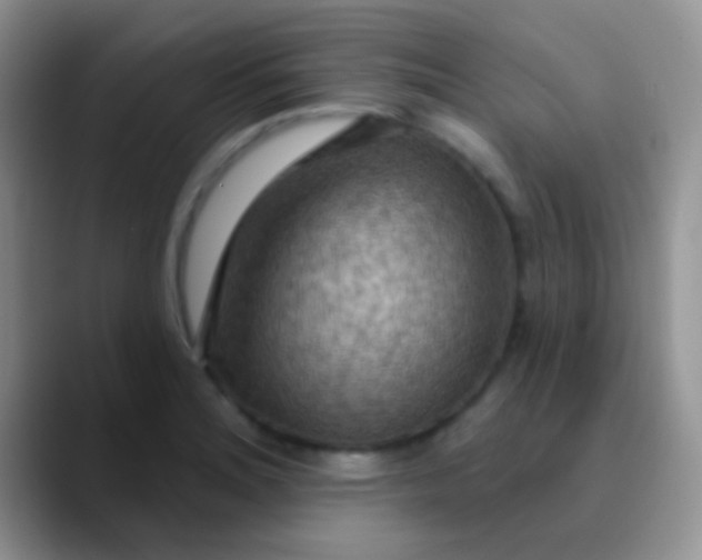 X0000089881180200707191951