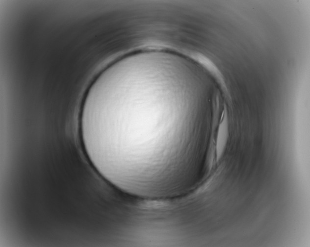 X0000089881183200707191951