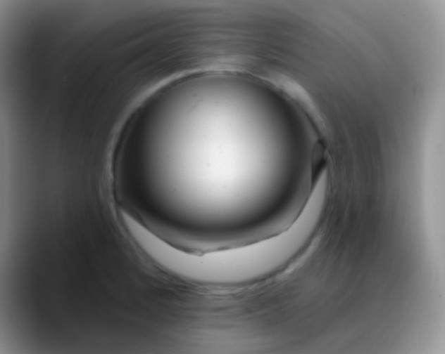 X0000089881184200707191951