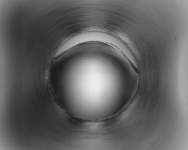 X0000089881185200707191951