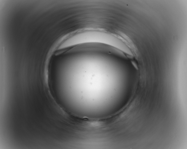 X0000089881188200707191951