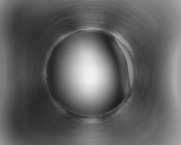 X0000089881189200707191951