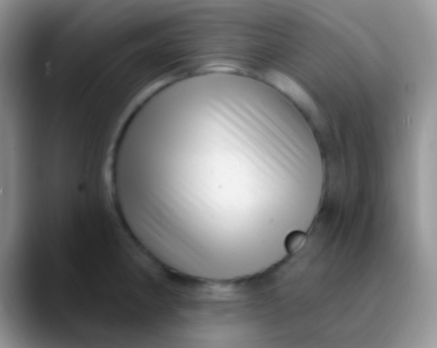 X0000089881190200707191951