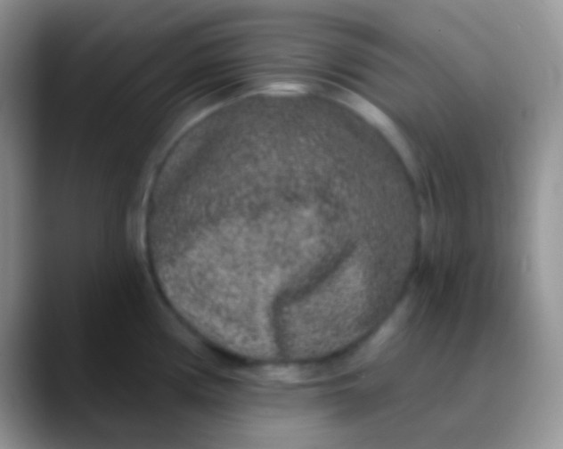 X0000089881194200707191951