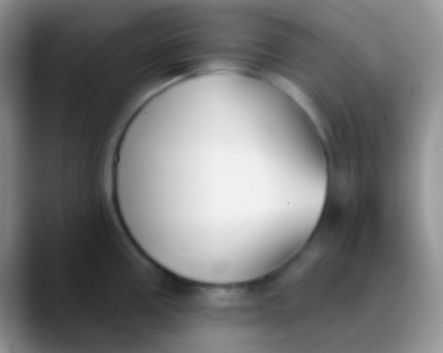 X0000089881195200707191951