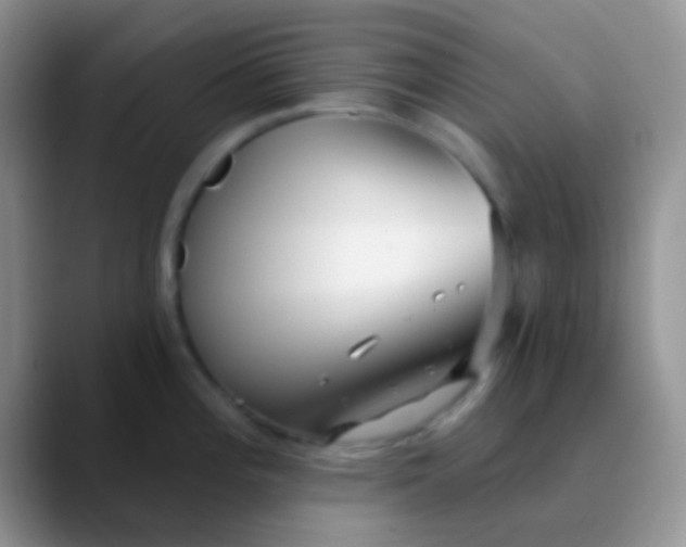 X0000089881196200707191951