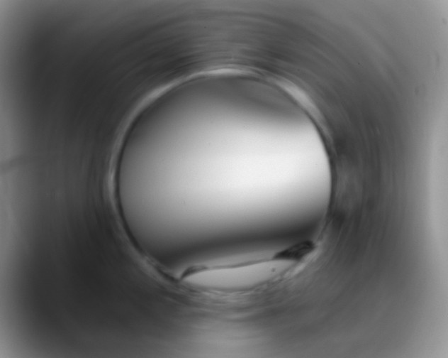 X0000089881197200707191951