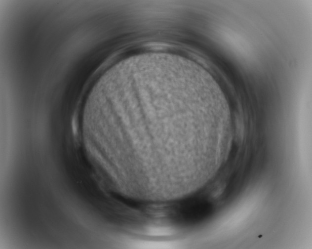 X0000089881198200707191951