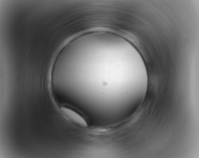 X0000089881199200707191951